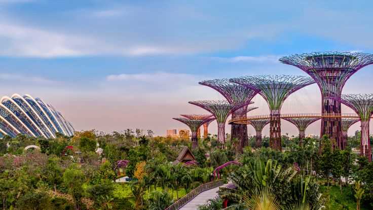 Singapore Bintan Honeymoon